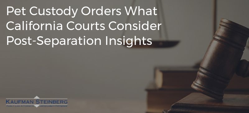 Pet Custody Orders What California Courts Consider Post-Separation Insights