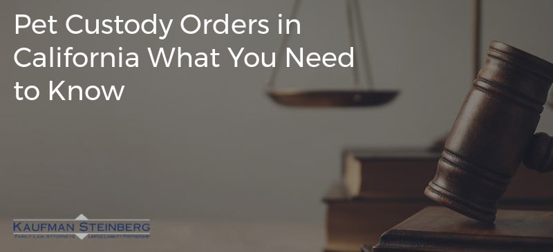 Pet Custody Orders in California What You Need to Know