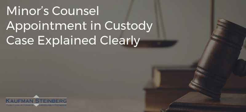 Minor’s Counsel Appointment in Custody Case Explained Clearly
